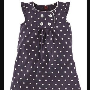 🍎2/$15 Tea Collection Navy polka dot cotton dress